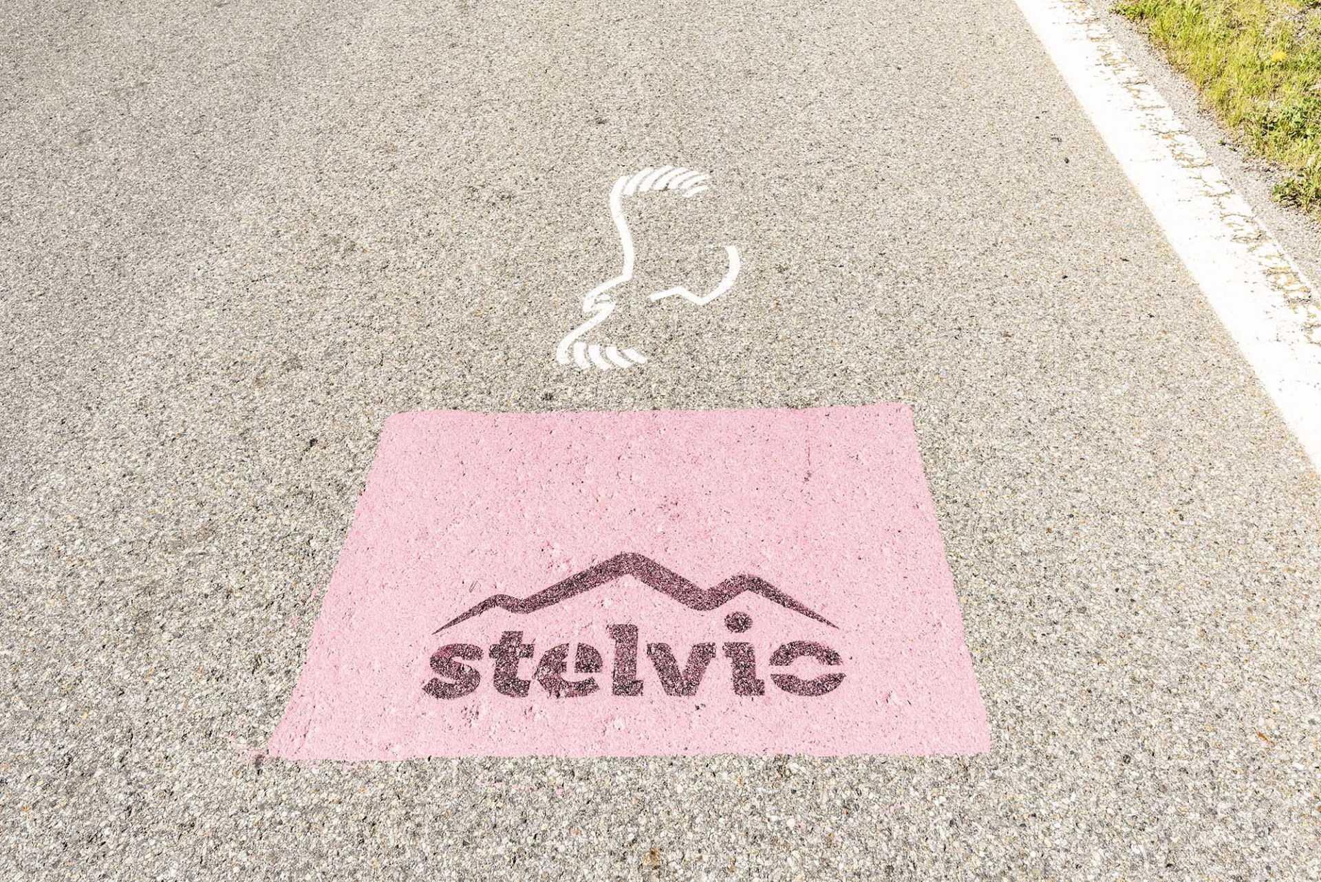 Haute Route Stelvio 452